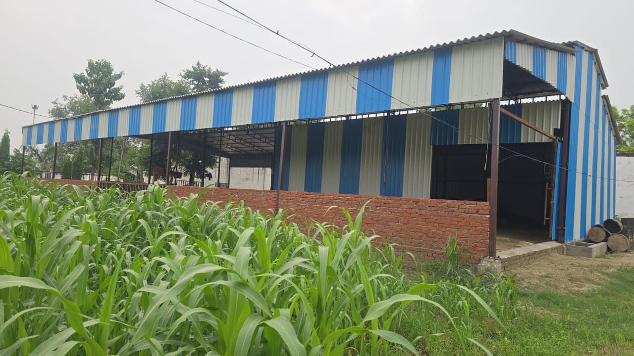 Abhishek Mishra, Mishra Dairy